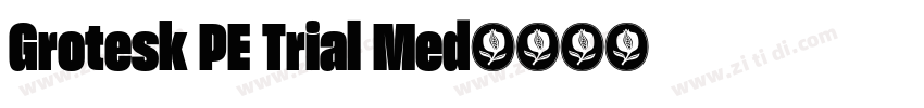 Grotesk PE Trial Med字体转换